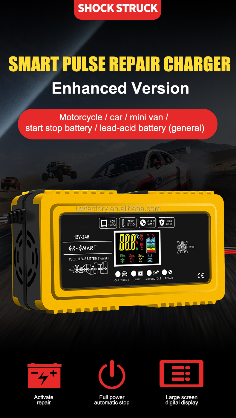 Low Tension Protection Automatic 12V20A 24V10A GEL AGM Lead Acid Battery Charger for Sweeper Golf Cart Forklift Motorcycle
