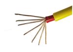 U-1000V CU / PVC / FR - PVC Insulated Power Cable Flame and Fire Resistant