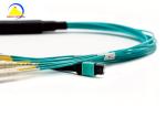 12F MPO Fiber Optic Patch Cord Male 6 DLC Uniboot Connector 10G OM3 Aqua Color