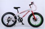 198cm Height Lightest 26 Inch Electric Fat Bike