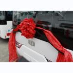 6.6m Electronic Bus 16 Seater Electric Minibus 110kw/Rpm