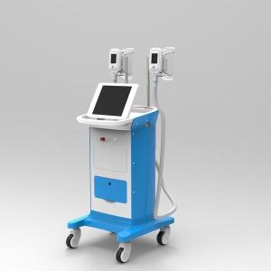 Wholesale Cryolipolysis Freezing Fat Beauty Machinefor body shaping from china suppliers