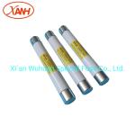 Oil Immersed Transformer Bayonet Fuse Limit Current Elsp Fuse Cbuc17065c100m