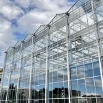 Galvanized Steel Pipe Automatic Venlo Glass Greenhouse For Botanical Garden