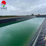 0.75mm HDPE Geomembrane Fish Farm Pond Liner for Aquaculture ASTM GRI-GM13