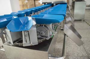 Wholesale IP65 500g Checking Tray Fruit Sorting Machine For Sticky Poultry from china suppliers