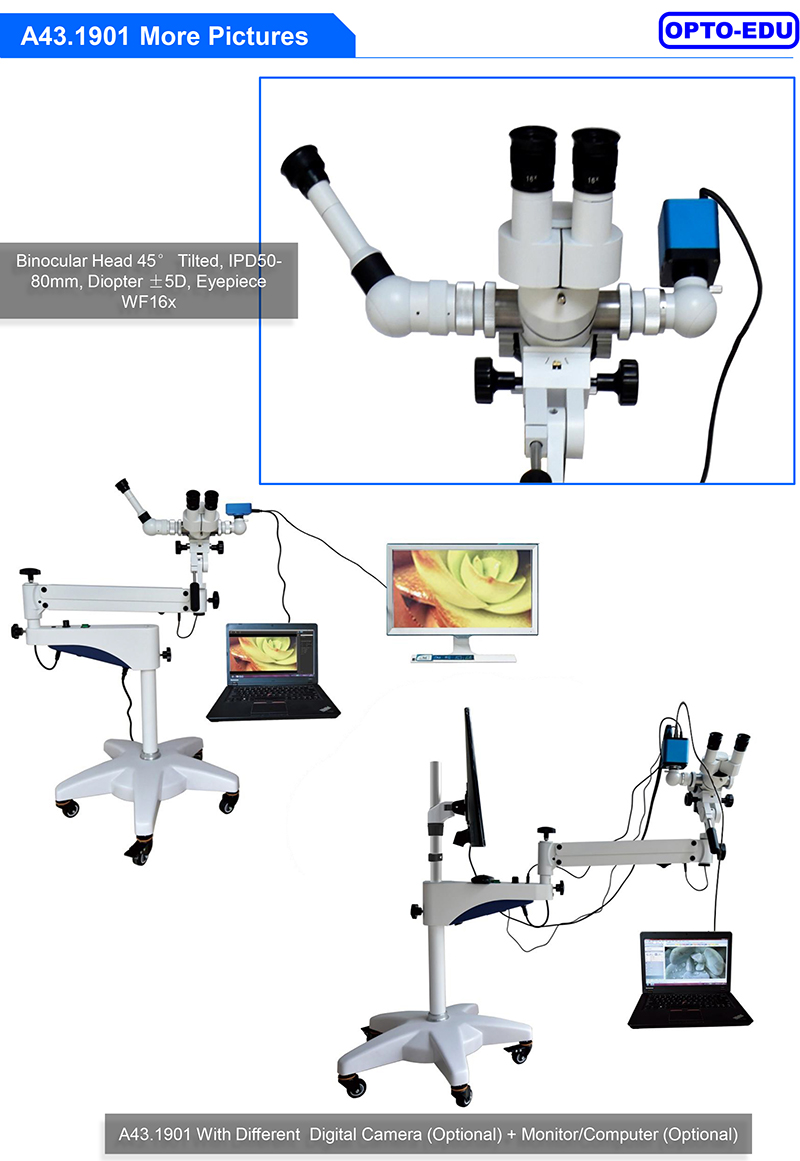 A43.1901 Digital Video Colposcope Universal Stand