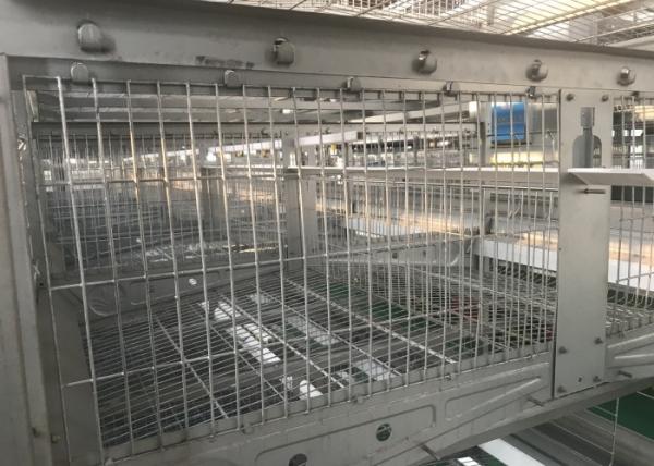 Chicken Poultry Farm Water System Water Nipples Feeder Line ISO9001 Certificatio