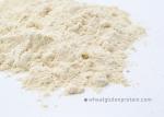 Bakery Ingredients 25kg Active Wheat Gluten Food Additive For Bread And Bakery