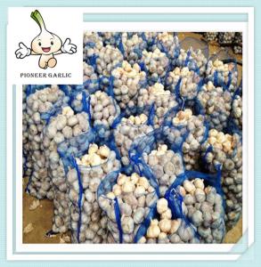 Wholesale 2016 Fresh while garlic with Top qulaity From China ,Hot!!! from china suppliers