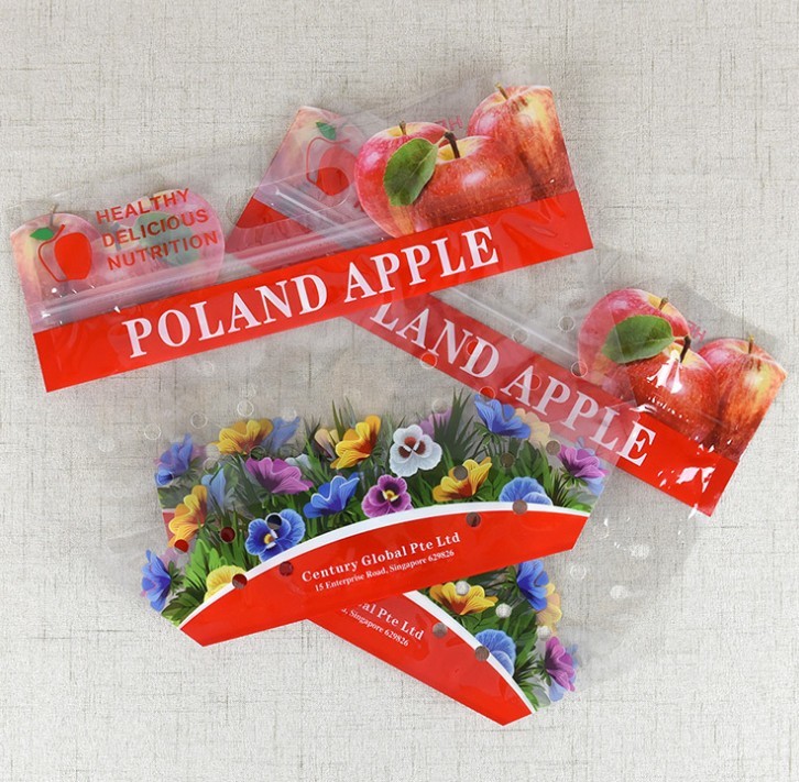 Standing Up Customized Colorful Zip-lock PET Laminated Packaging Bags for fruit and Vegetables Packing