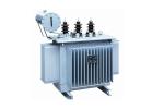 S11 Copper Winding Three Phase Oil Immersed Transformer 20kv For Enterprise /