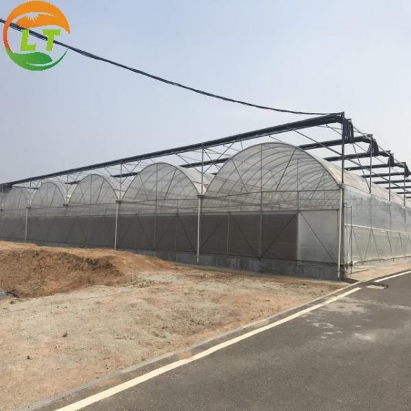 LiTai Greenhouse Multi-Span Film Agriculture Greenhouse with Steel Frame