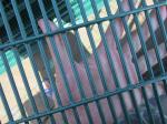 358 security mesh fencing