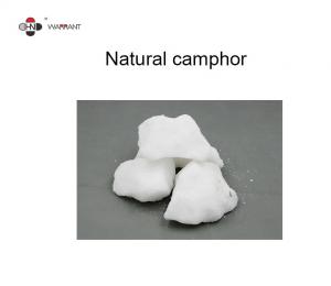 Wholesale Insect Repellent CAS 464 49 3 Pure Camphor Oil from china suppliers