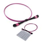 3.0mm 100G MPO To MPO Jumper Fiber Cable Female Connector 10m Low Insertion Loss
