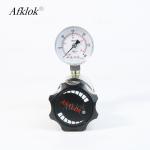 Adjustable Stainless Steel Back Pressure Valve 300psi Oxygen Nitrogen Helium