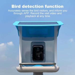Wholesale Outdoor Smart Bird Feeder Camera Quadrate Shape With Solar Panel from china suppliers