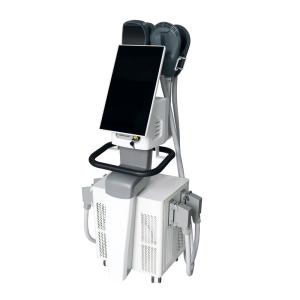 Wholesale Durable EMS Sculpting Machine for RF Temperature 110/230V- 20A Fuse Package Size 135*70*60CM3 52*44*39CM3 from Trusted from china suppliers