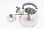 Kitchenware portable tea kettle 3L open sounding kettle boiling water magnetic