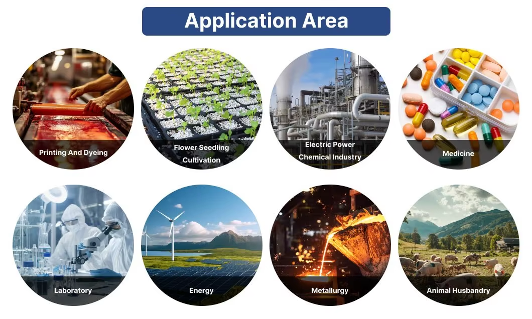 2000L/H Two Pass RO EDI Ultra Pure Water Treatment System with 18.2 MΩ*cm Resistivity and Compact Skid-Mounted Design