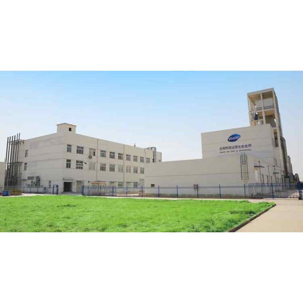 3 in 1 Industrial Enzymes Liquid Detergent with 99% Purity and 12 Months Shelf Life