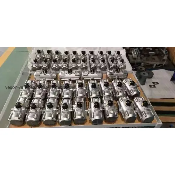 Stainless Steel Corrosion-Resistant Pneumatic Actuator with Hard Anodized Aluminum Rack Pinion Design
