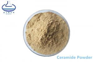 China 100403-19-8 rice bran extract powder , 10% Pure Ceramide Powder on sale