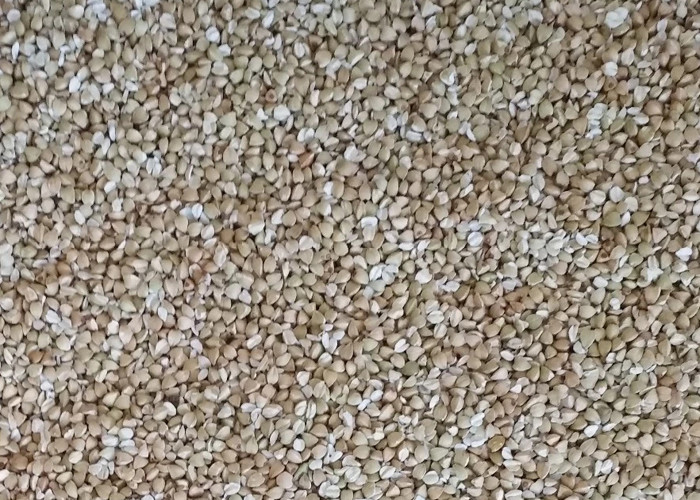 Recycled Wheat Color Sorter 1 Channels Dual 5388 Px Full Color For Buckwheat