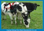 Corrosion Resistance Welded Wire Livestock Panels With ISO9001 / 2008 Certificat