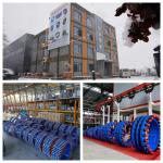 3 Inch 8 Inch Dismantling Joint Pn16 Ggg50 Cast Pipe Ductile Iron Double Flange