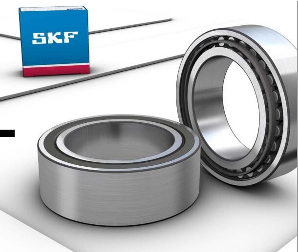 SKF Double Row Deep Groove Ball Bearing P0 P6 P5 P4 P2 Precision Rating