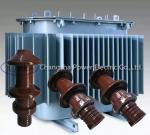 DIN Standard 10000V 10NF250 Transformer Porcelain Bushing OEM available
