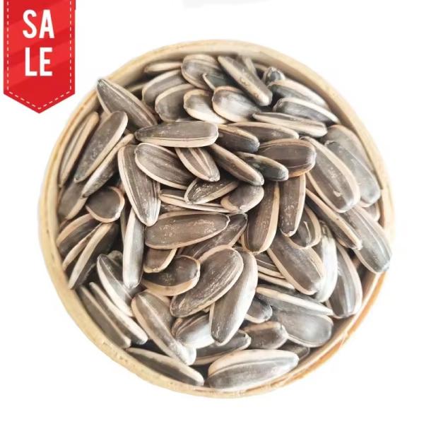 High Grade 2024 New Crop Inner Mongolia Premium Quality Organic Bulk Large