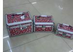 Colorful Set Of 3 Beautify Cosmetics Case Storage Bags 7 / 8 / 9 Inch For Travel