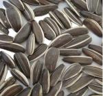 Amazon hot sale Sell high-quality sunflower seed raw materials that meet Egypt's