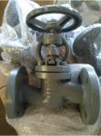 CI Carbon Steel Stainless Steel Flanged Globe Valves for High Pressure