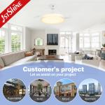 Acrylic Blades Invisible Ceiling Fan With Light / DC Motor Energy Saving