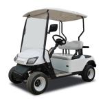 Raysince factroy directly supply golf trolley electric 2 seats mini golf buggy