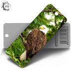 Birds Design 3D Lenticular Bookmark With Tassels Environmental 15.6X5.3cm