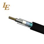 Gyxtw Armored 12 Core Fiber Optic Cable Custom Meter