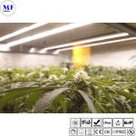 Energy-Efficient IP66 IK08 Waterproof 540W LED Plant Grow Sodium Light For