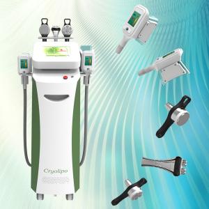 Wholesale Update fat freeze machine cryolipolysis for quick slim belly from china suppliers