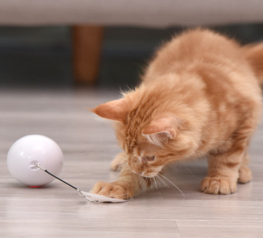 usb cat toy ball
