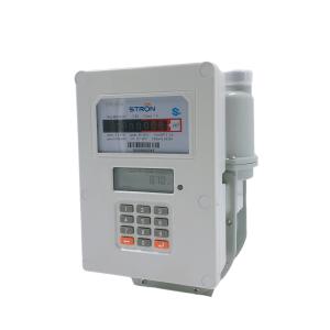 Wholesale Steel Prepaid Gas Meter , 1.6m3/H Smart Pay As You Go Meter from china suppliers