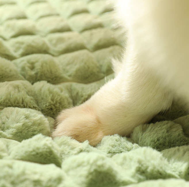 high quality dog beds
