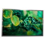 BOE EV220WPB-N10 22 inch 1680*1050 LVDS 30 pins lcd screen for medical imaging