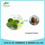 Pure Natural Eucalyptus Leaf Extract Powder 10:1 20:1