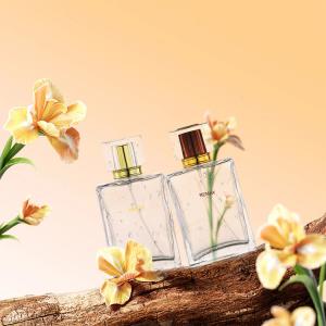 Wholesale 50ml Transparent Glass Clear Rectangle Bottle With Transparent Lid For Cosmetic Glass Bottles from china suppliers