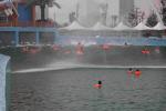 Outdoor Water Park Wave Pool Wave Machine For Family Entertainment in Gaint